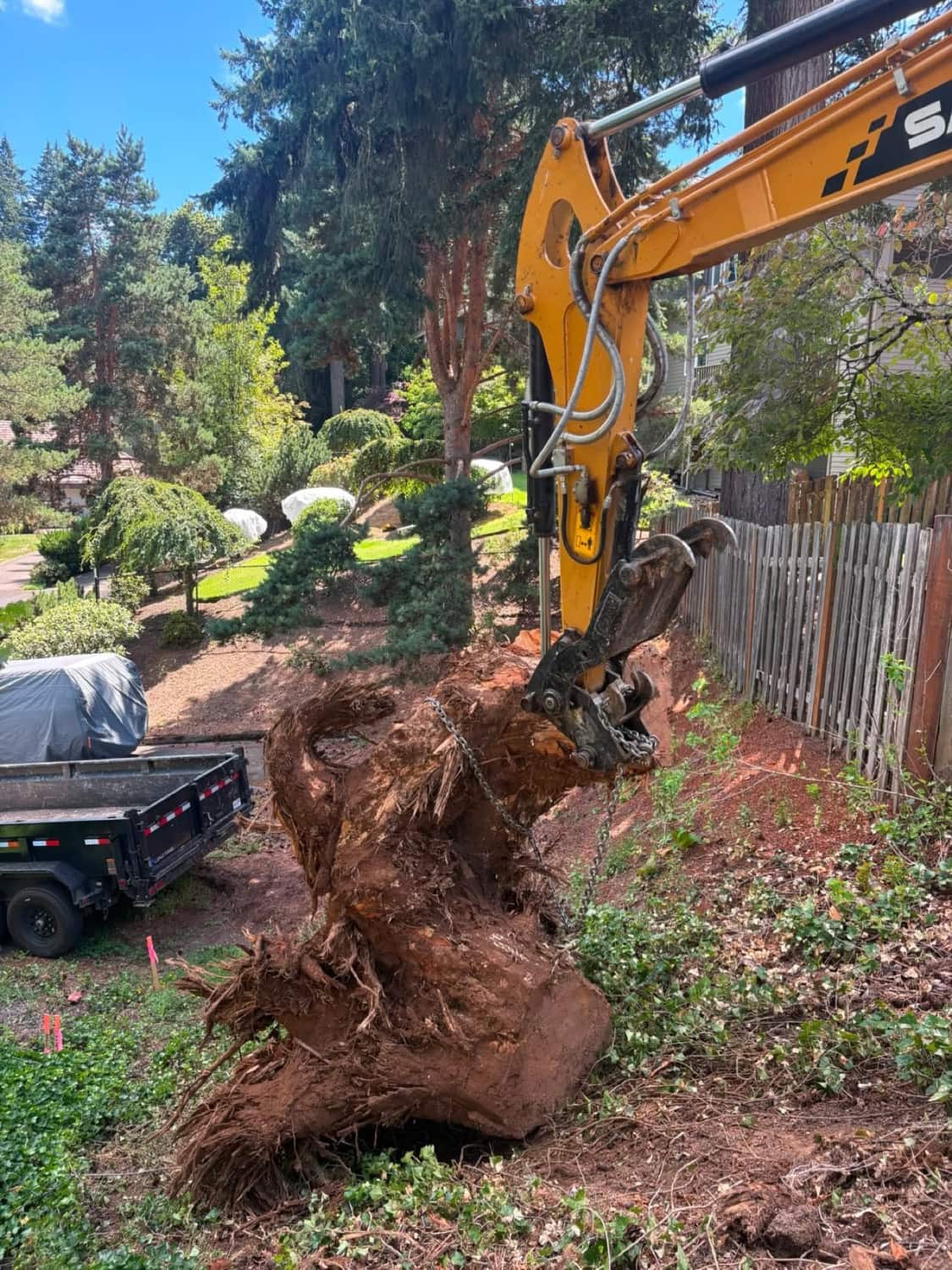 Stump and root-ball removal as part of clearing a lot.