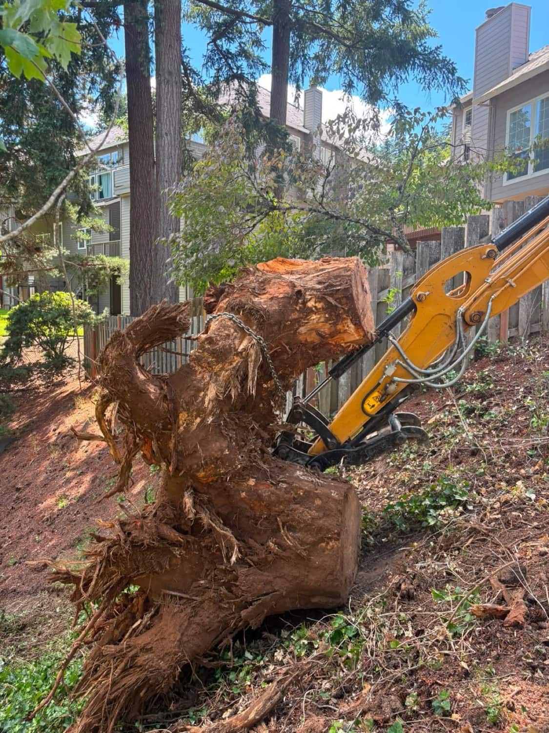 Land and Lot Clearing in Portland, Oregon